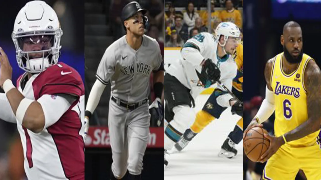 Profisport und wie funktionieren Sportlig