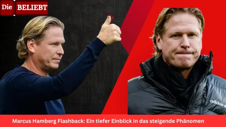 Marcus Hamberg Flashback